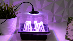 ¿Cómo cultivar aromáticas en casa? Mi experimento con semillas y un mini invernadero con luces LED